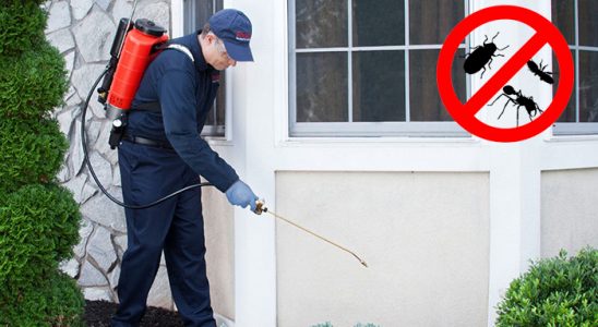 Ulukışla Bit İlaçlama böcek ilaçlama ve haşere kontrolü — ilaclama-tr.com